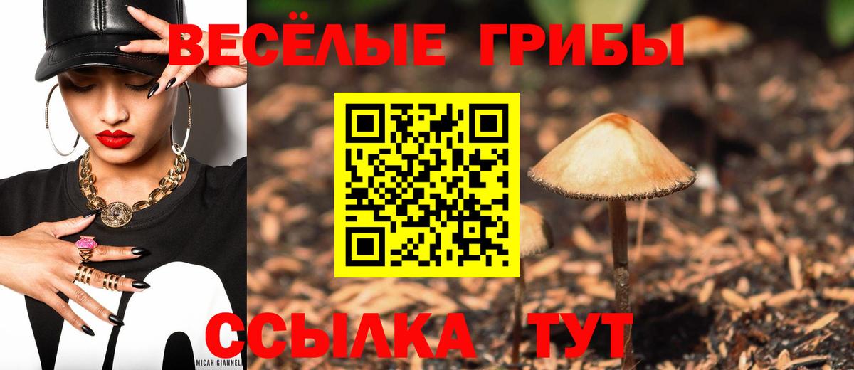 Псилоцибиновые грибы мицелий Вольск