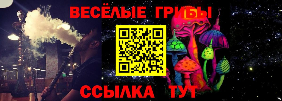 Вольск  Псилоцибиновые грибы ЛСД  Вход с VPN 